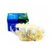 Xmas гирлянда LED 3.3 Line 100 WW Тёплый белый Уличная 