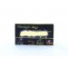 Xmas гирлянда LED Star Light 12V White 